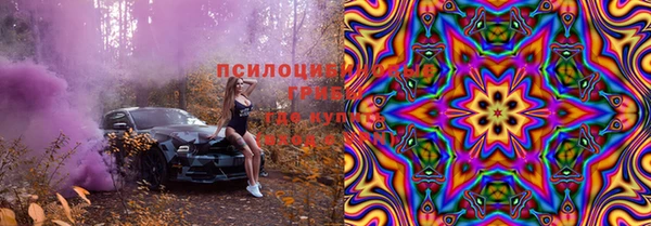 хмурый Алексин