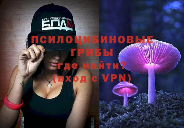 хмурый Алексин