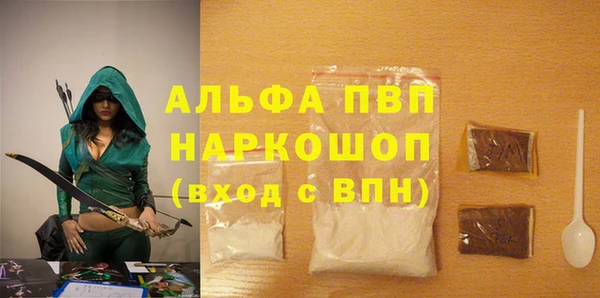хмурый Алексин