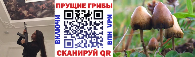 сколько стоит  Островной  Псилоцибиновые грибы мухоморы 